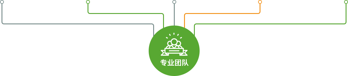 專業(yè)團隊